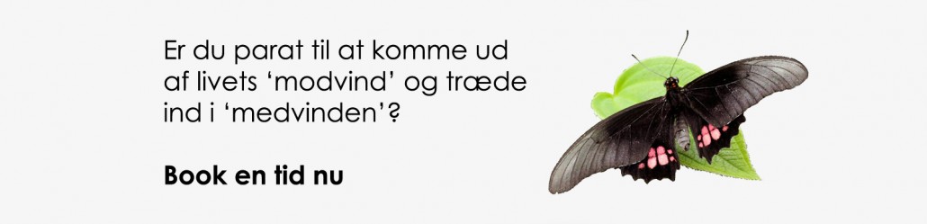 FEFTbanner43